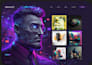 create luxury and premium wordpress website with urgent delivery
